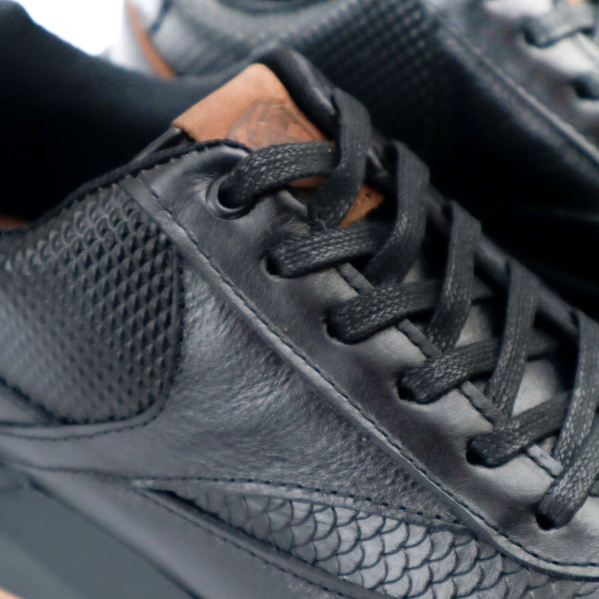 Zapato de Cuero 3223 Negro con Café