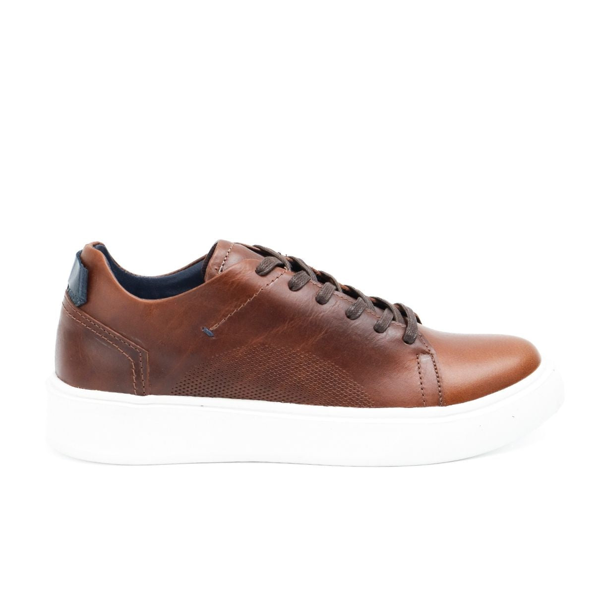 Zapato de Cuero 576 Color Miel